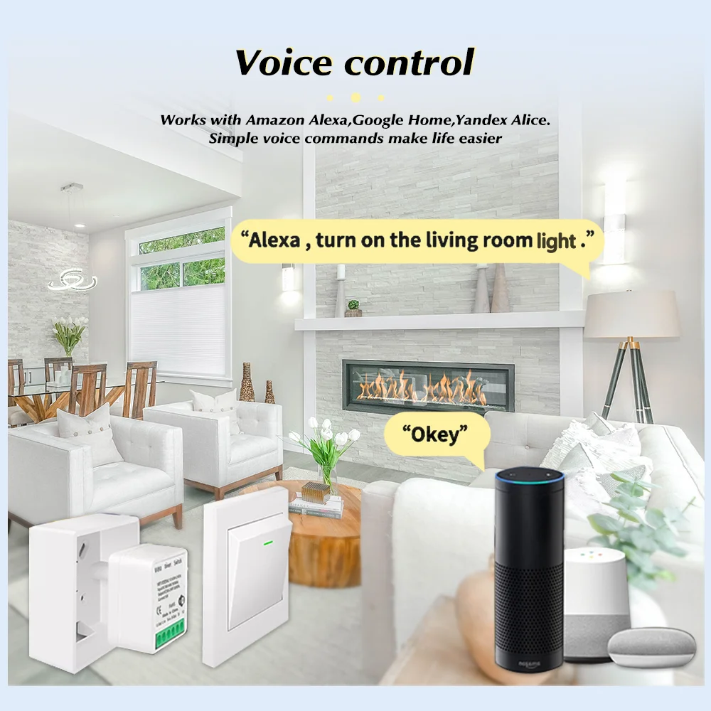 Tuya 미니 스마트 WiFi 스위치 16A Zigbe - Smart Home Automation Diy 리뷰 및 가격