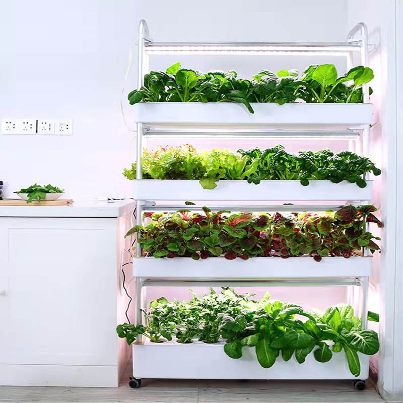 수경재배 시스템 스마트 홈 자동화 시스템 판매중 인기  - Home Automation Systems Diy 리뷰 및 가격